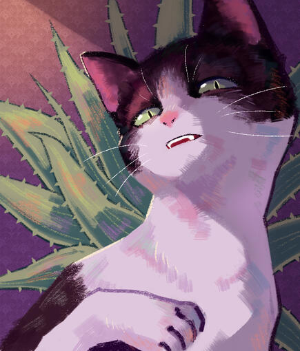 Aloe - cat I see irl