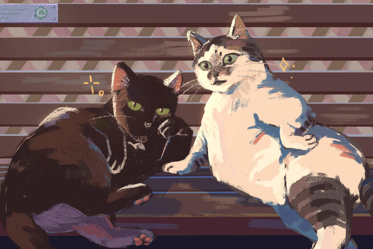 Blackito and Casper - cats I see irl